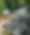 IMG_1202.PNG
