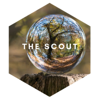 The-Scout