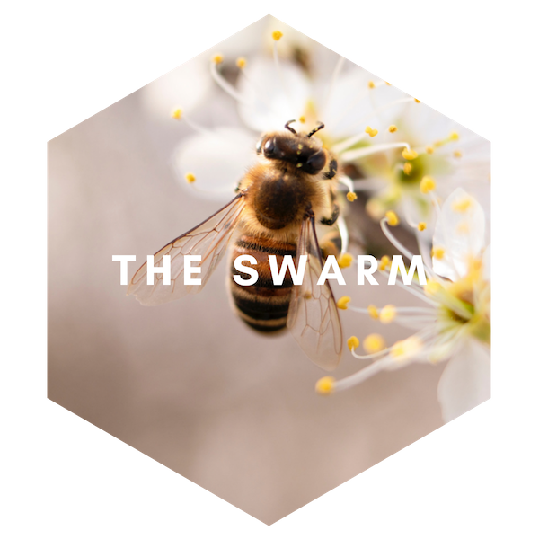 The Swarm - Text (1)