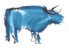 bull5.jpg