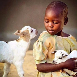 NOT ONLY LAMB COMES FROM A SHEPHERD'S HOUSE.