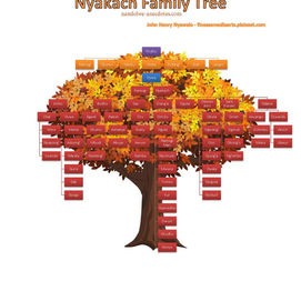 NYAKACH BRETHREN ARE MARTIAL (LANG’O)