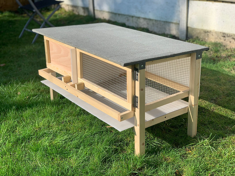 Single deck bird House