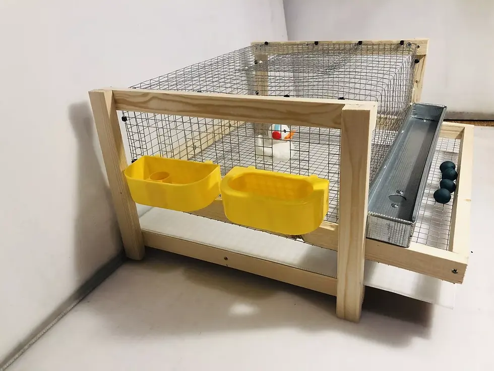 Thumbnail: Starter Cage