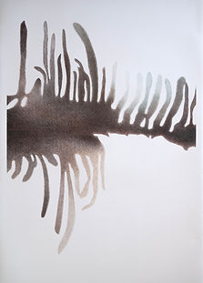 _PRB2475 - cópia.jpg
