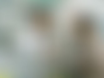 藥劑師在藥房櫃檯向長者講解藥物包裝上的服用說明,長者專注聆聽
