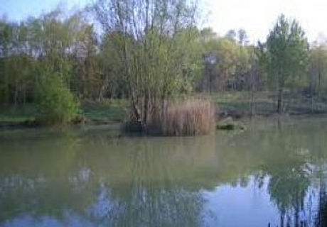 bottom lake.jpeg