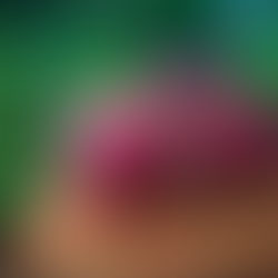 Beste Reste-Rezepte im November: Unsere Lieblingsrezepte in diesem Herbst