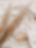 alyssa-strohmann-CGXxpcUrhdo-unsplash.jpeg