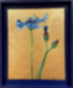 BLEUET