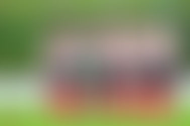 La AFE funda el Comité de Fútbol Femenino con Tirapu y Eli Ibarra en sus filas