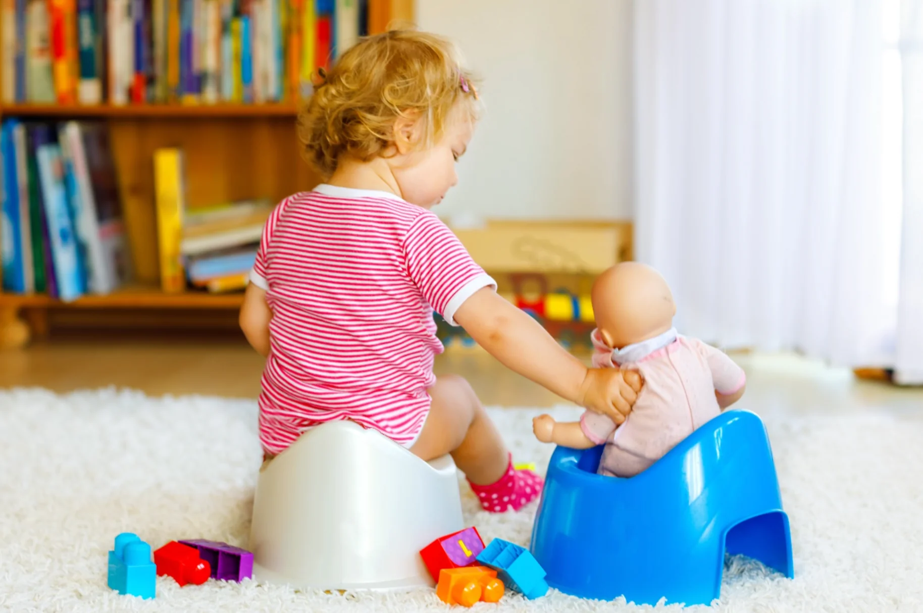 Potty Training Seminar