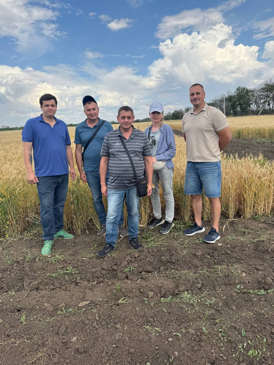 Інновації, наука та молодь: на Миколаївській дослідній станції відбувся День поля.