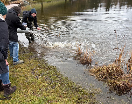 Lâcher poissons  20/02/2026