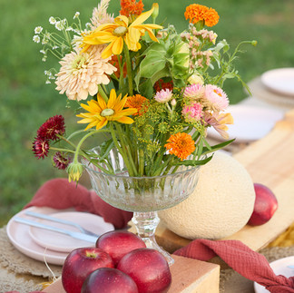 Event Photography, Farm to Table Dinner, Samantha Everette Photography
