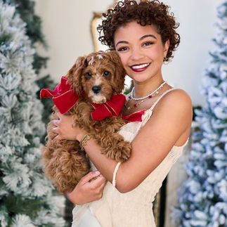 Professional Christmas Pet Photos, Samantha Everette Photography