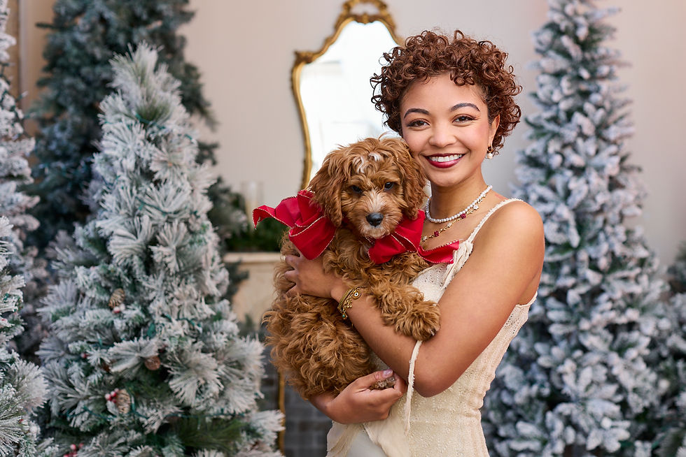 A Festive Christmas Session Filled With Joy and One Very Cute Pup