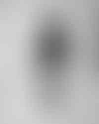 Maternity Photography, Samantha Everette Photography, Durham NC