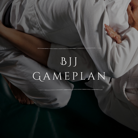 BJJ Gameplan