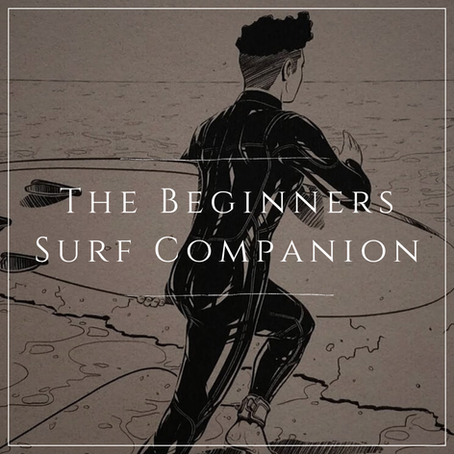 The Beginners Surf Companion - Florian Hättich, Daniel Spes [Buch]