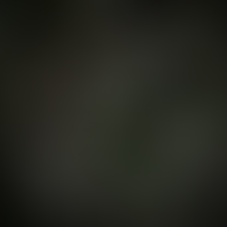 Primal Greens [Produkttest]