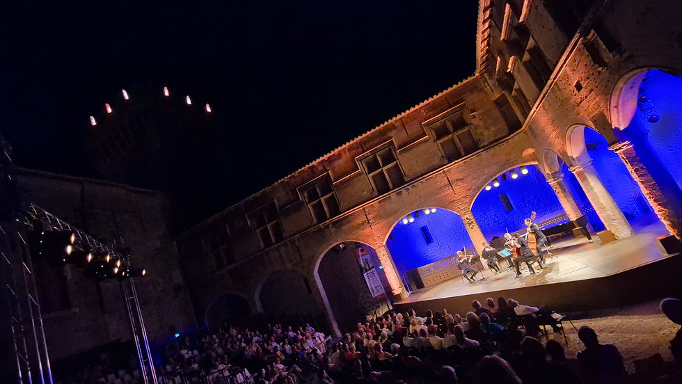 Festival Salon de Provence (2)