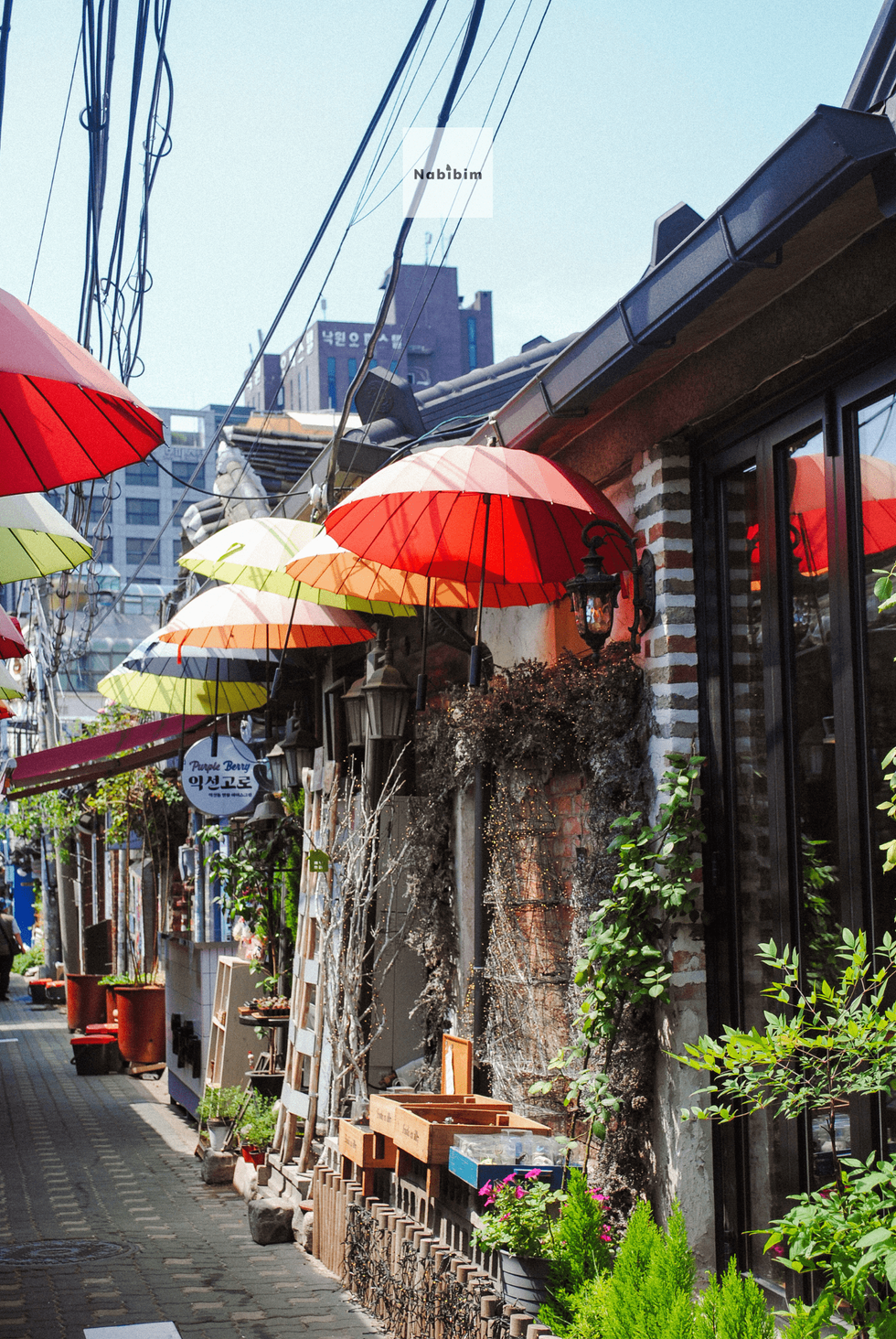 Ikseondong, seoul
Nabibim