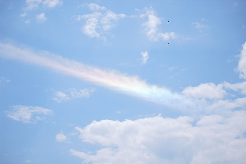 Ein wunderschöner Regenbogen, mit hellblauen Himmel.