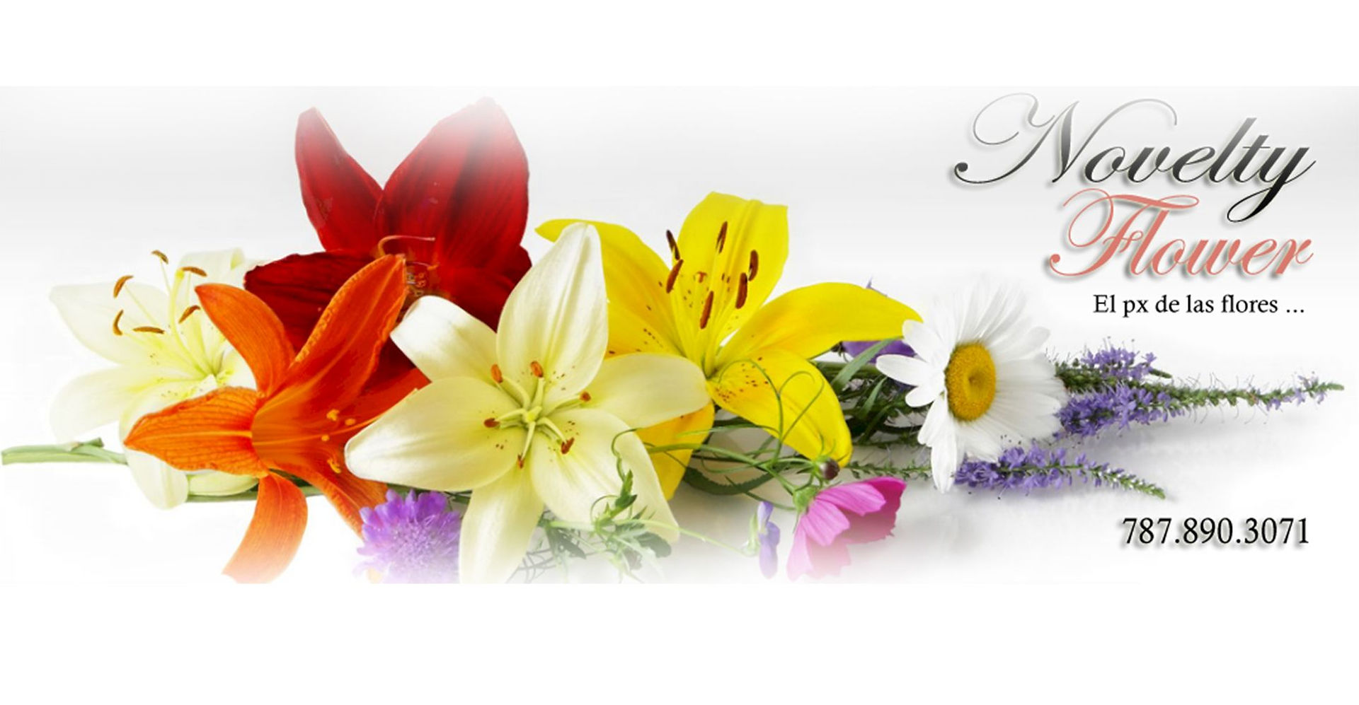 Inicio Novelty Flower