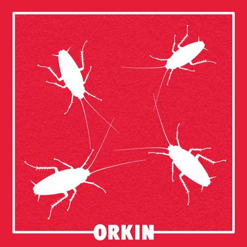 Cucarachas-Orkin