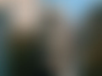 The Link Between Executive Leadership and Occupancy Rates in Residential Real Estate 🏢📊