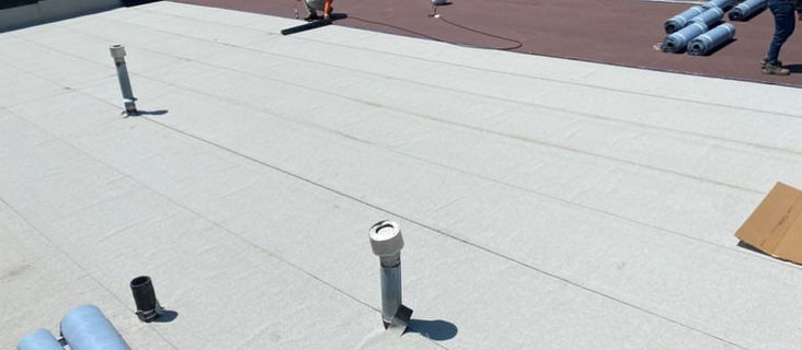 Commercial Painting and Roofing: Saving the Environment, One Business at a Time