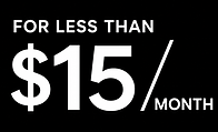 less than 15$.png