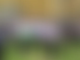 A group of high school children in the school grounds