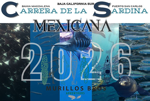 Promocion de la carrera de la sardia mexicana 2026