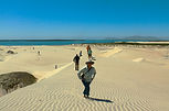 Paseo entre dunas y manglares
