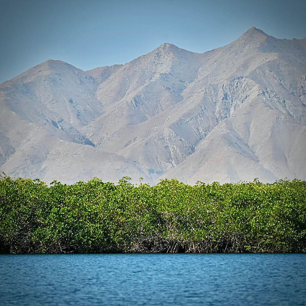 El Tesoro Escondido del Pacífico Mexicano
