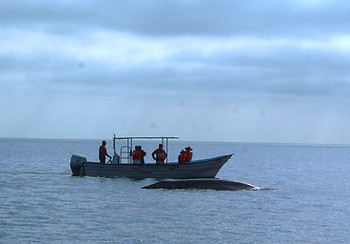 IMG_9432.JPG