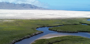 Bahia Magdalena de las alturas