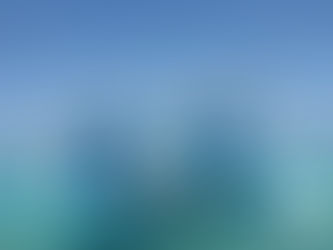 Kalo Mina - Kalo Surf