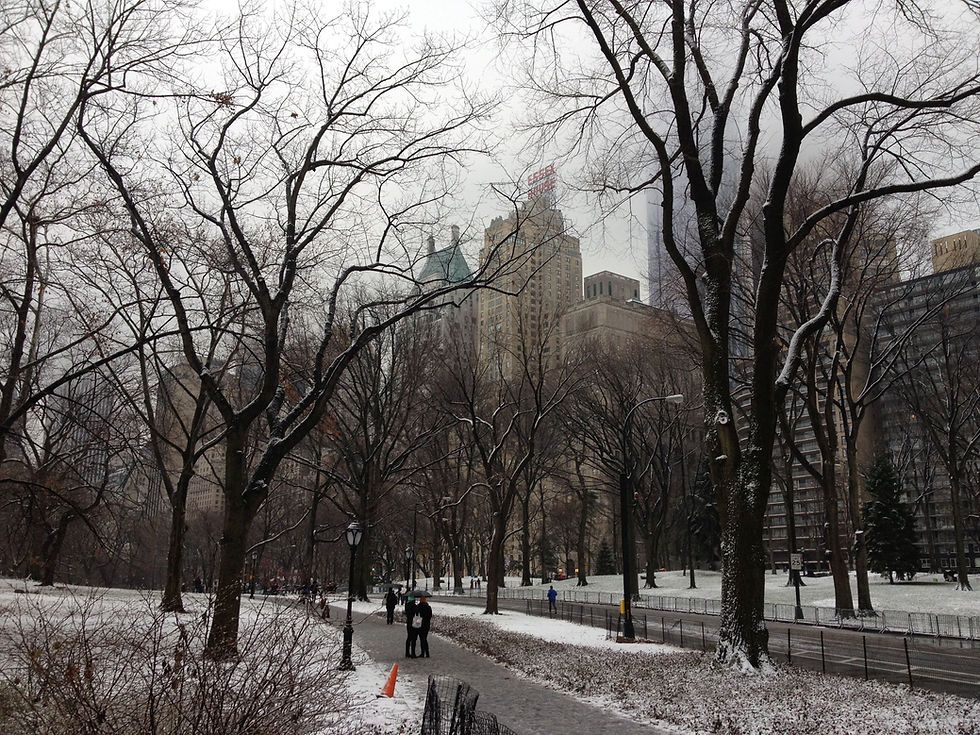 Central Park New York.jpg