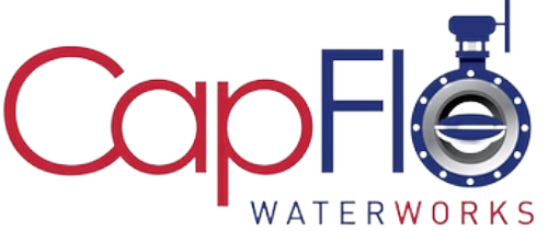 Capital Flow