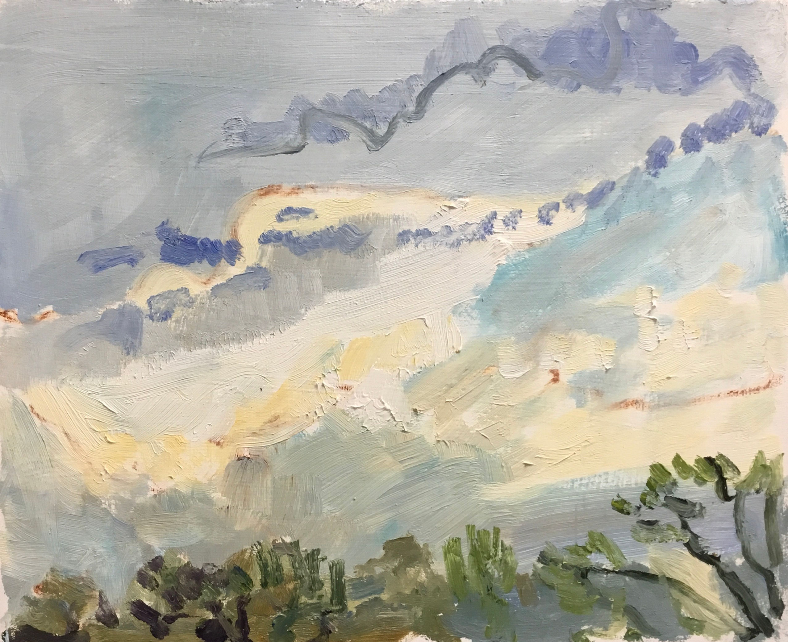 Evening Sun - 14/05/2022