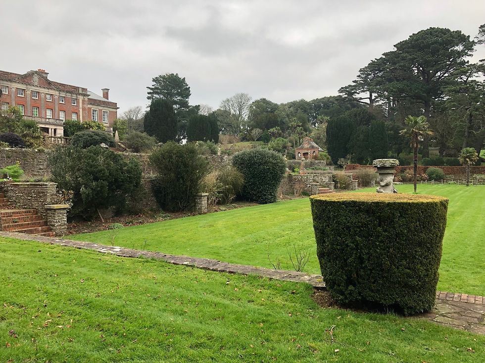 Thumbnail: Tapeley Park - 25/01/2022