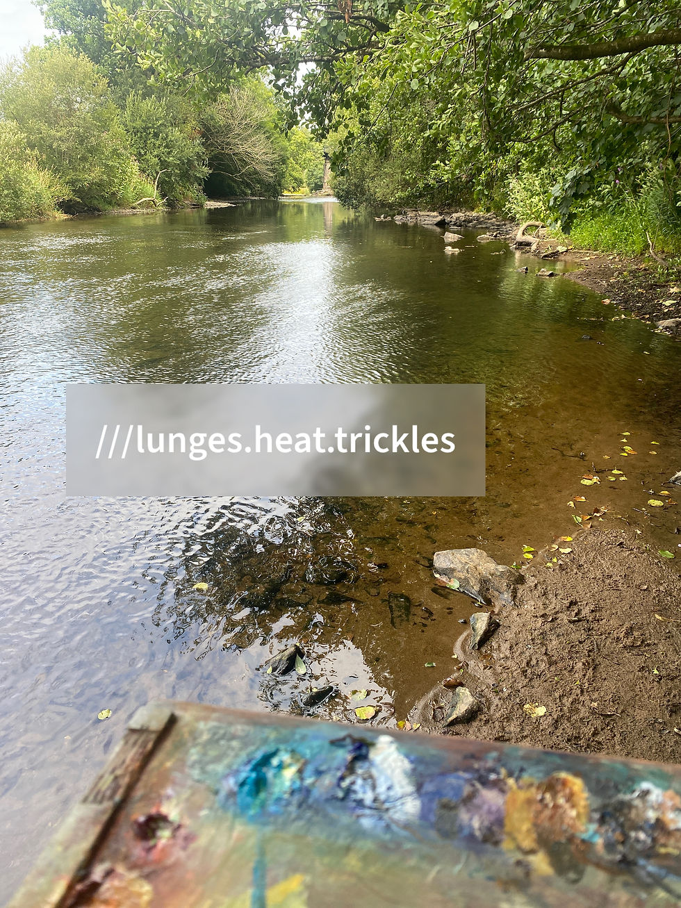 Thumbnail: River Torridge @ The Puffing Billy - 2/08/2022