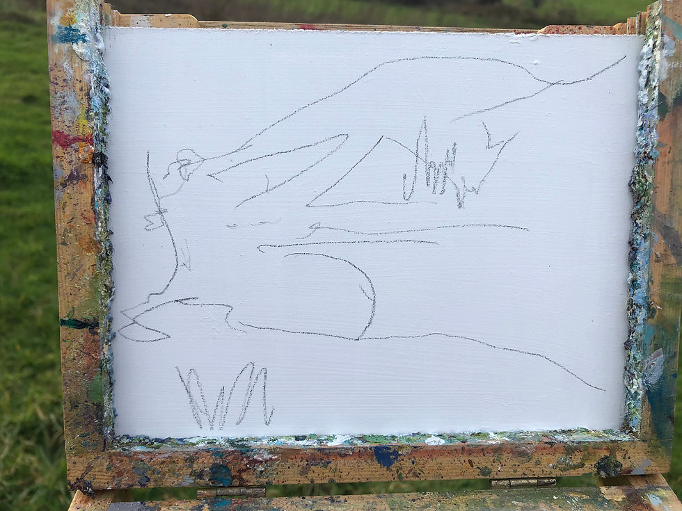 Thumbnail: Kenwith fields - 26/01/2022