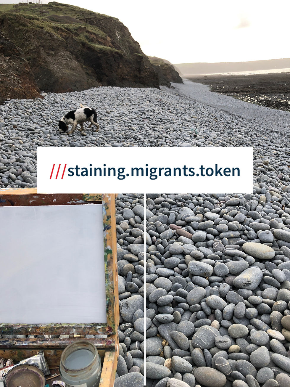 Thumbnail: Abbotsham Cliffs. 17.01.21