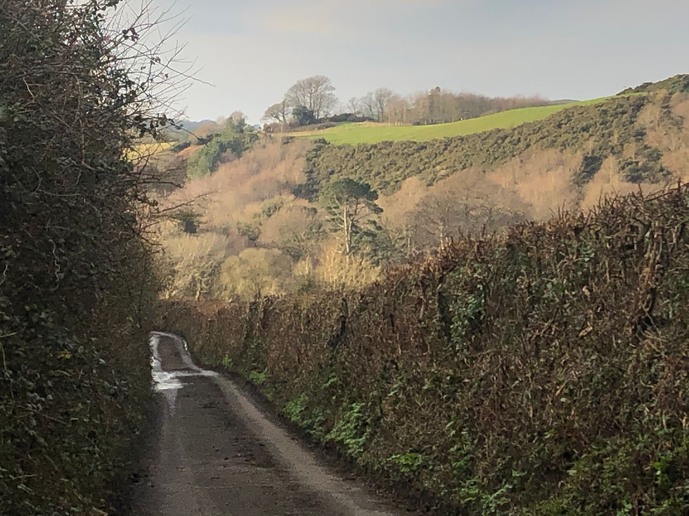 Thumbnail: Scratchy Face Lane. 15.01.21