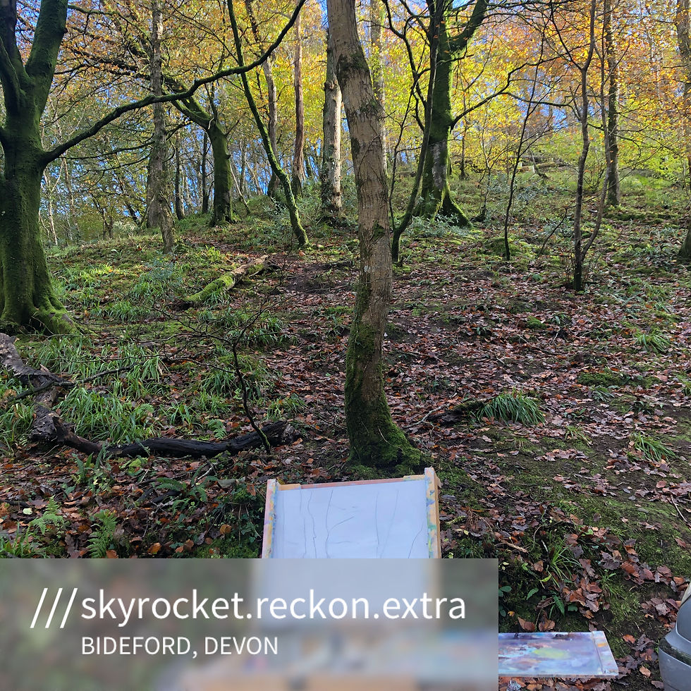 Thumbnail: BucksValley Wood 5.11.2020