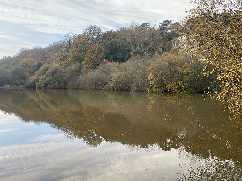 Thumbnail: Kenwith Reservoir - 27/11/2022